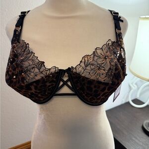 Honey Birdette Black and Brown Lace Underwire Bra
